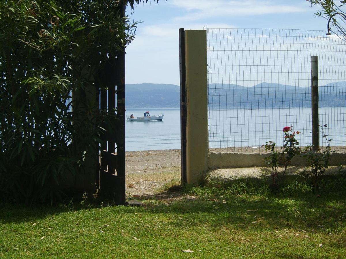 Flora'S Beach House Your House On The Beach Amarynthos Exterior foto